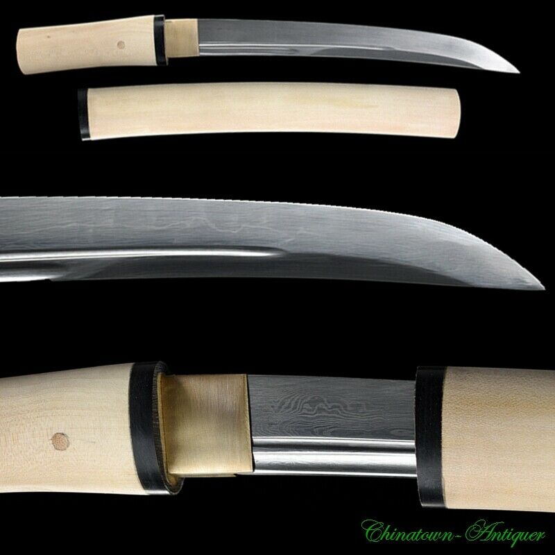 Japanese Wakizashi Short Sword Tanto Pattern Steel Blade Full Tang Sharp #3236
