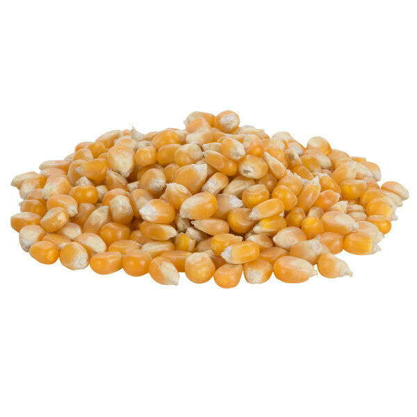 Bulk Mushroom Popcorn Kernels, Non-gmo (select Weight)